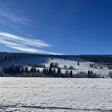 Apartman Nove Hute Sumava Exteriér fotografie